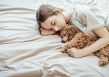 Illustration : Reconnaître un chien en fin de vie