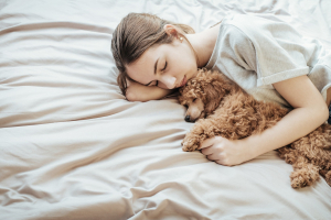 Illustration : "Reconnaître un chien en fin de vie"
