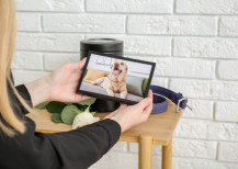 Illustration : Combien de temps faut-il pour faire le deuil de son animal ?