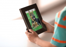 Illustration : Le silence de la maison apr&egrave;s la mort d'un animal