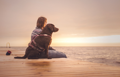 Illustration : Faire le deuil de son chien