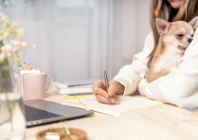 Illustration : Faire une "Bucket List" pour les derniers jours de son animal