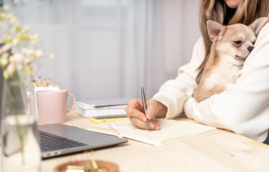 Illustration : Organiser les obs&egrave;ques de son cheval