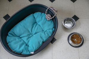 Illustration : "Que faire de ses affaires après la mort de son animal ?"