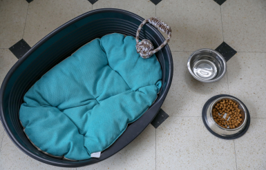 Illustration : Honorer la m&eacute;moire de son animal avec des photos