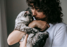 Illustration : Adopter un chat apr&egrave;s la perte de son compagnon : comment se pr&eacute;parer en douceur ?