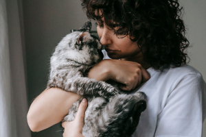 Illustration : "Adopter un chat après la perte de son compagnon : comment se préparer en douceur ?"