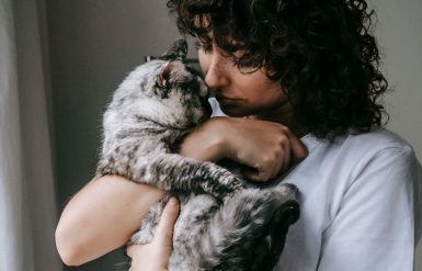Illustration : L'assurance obs&egrave;ques pour un chat